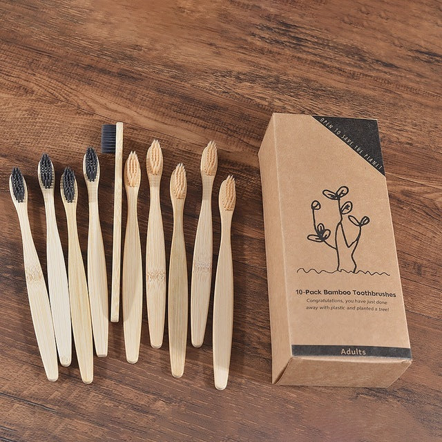 GreenCare Toothbrush Set